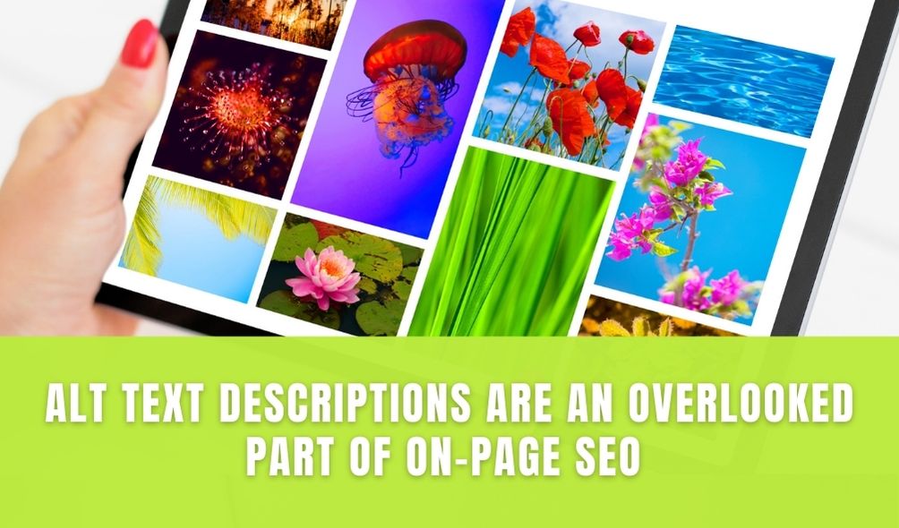 alt text descriptions are an overlooked part of on-page SEO